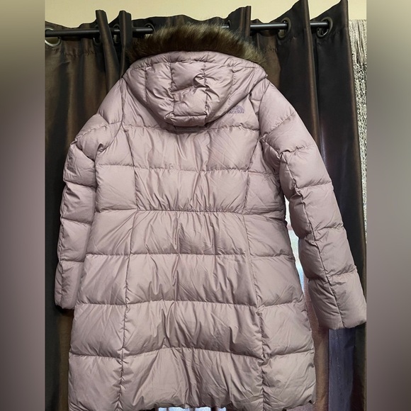 The North Face New Dealio Water Repellant 550 Fill Power Down Parka - Picture 6 of 8